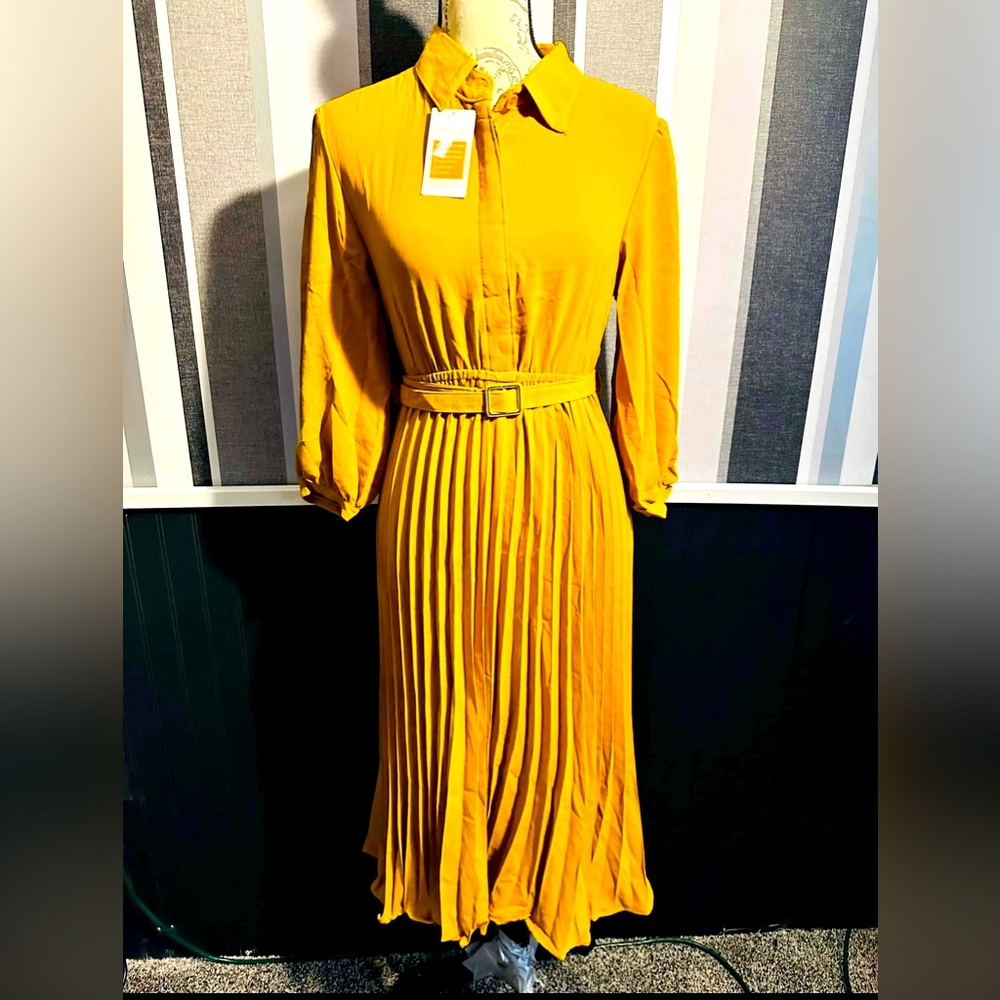 Pleated dress